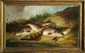 Trout And Perch On A Riverbank