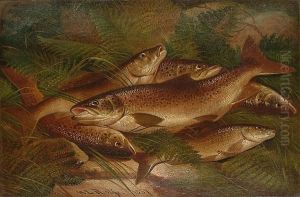 A Still Life Of Brown Trout Amongst Ferns