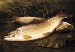 Still Life Of Trout