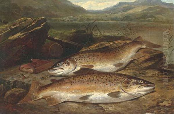 Brown Trout On A River Bank - view 1