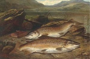 Brown Trout On A River Bank