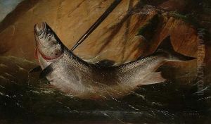A Prize Catch