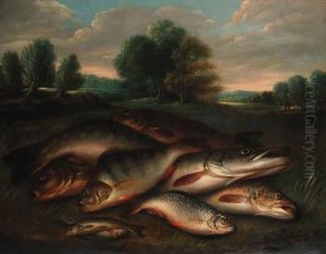 A Pike, A Tench, Salmon, Trout And Perch On A Riverbank