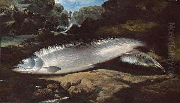Salmon On A Rock By A River - view 1