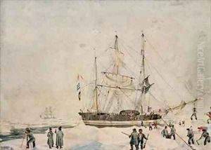 Walking in the Pack Ross Expedition by John Edward Davis