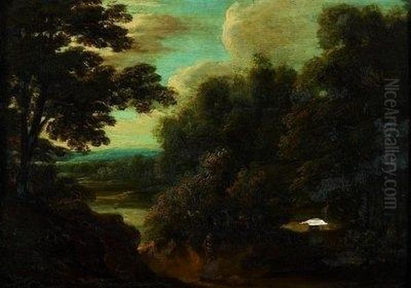 Waldlandschaft - view 1