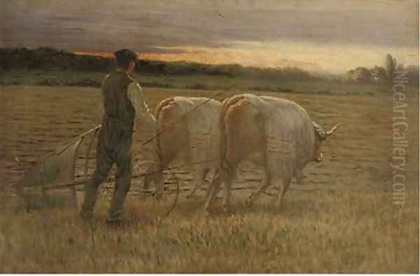 Ploughing the field, sunset - view 1