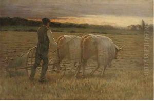 Ploughing the field, sunset by Paul Dartiguenave
