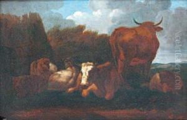 Vaches Et Moutons Dans Un Pre - view 1