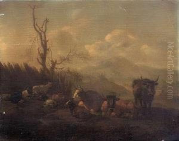 Resting Cattle In An Italianlandscape - view 1