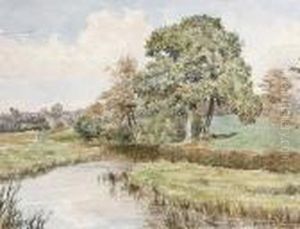 A Summer Landscape Near Boldre, Hampshire