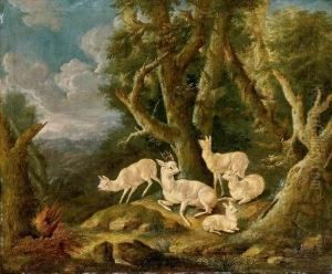 Jagdstuck Mit Weiser Hirschfamilie