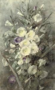Purple And White Field Bindweed by Margaretha Roosenboom