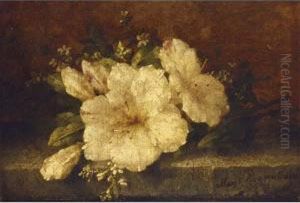 A Flower Still Life