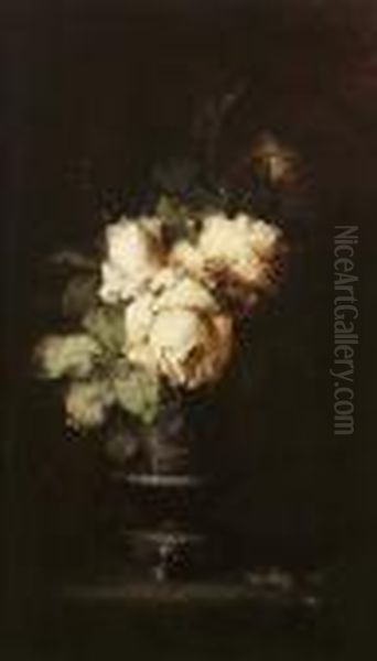 White Roses - view 1