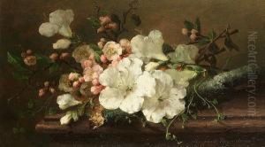 Still Life With Blossom