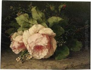 Pink Roses Pink Roses
