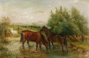 Horses In A Pool by George Thomas Rope