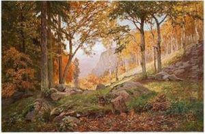 Bosque by Antoni Ros Gell