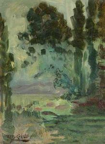 Paisaje Boscoso. - view 1