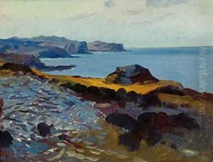 Paisaje De La Costa