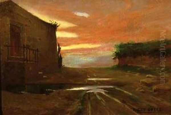 Paisaje Al Atardecer - view 1