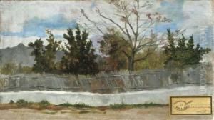 Huerto Murciano