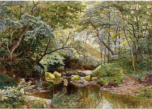 The Silver Brook - view 1