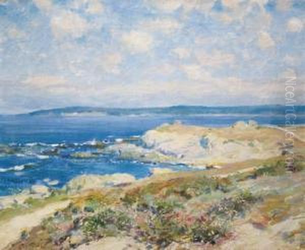 The Shore Road - view 1