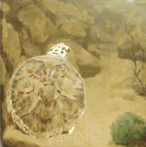 A turtle by Gerrit Willem Dijsselhof