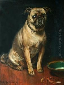 A Pug.