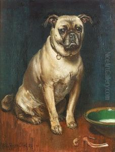 A Pug