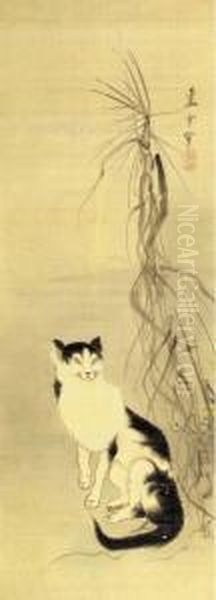 Cat And Dry Reeds - view 1