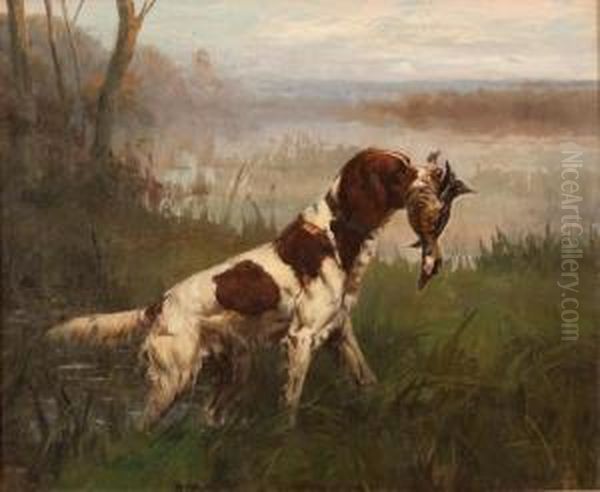Setter And Ruddy Duck - view 1