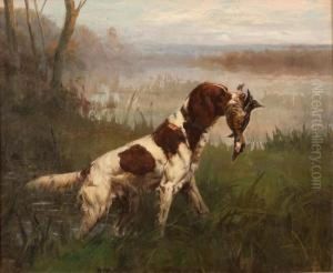 Setter And Ruddy Duck