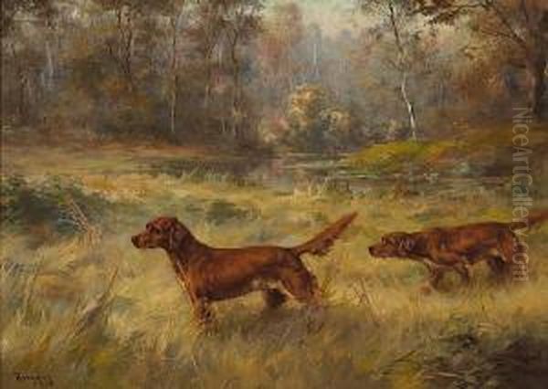 Irish Setters Pointing - view 1