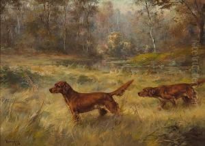 Irish Setters Pointing Irish Setters Pointing