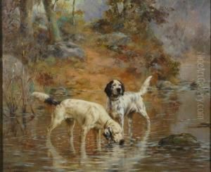 Two Setters In A Cooling Stream On The Grounds Of Overhills,fayetteville, North Carolina