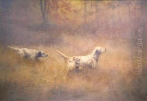 Setters In A Field Setters In A Field