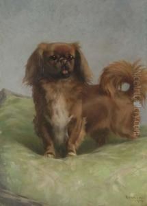 A Pekingese by Percival Leonard Rosseau