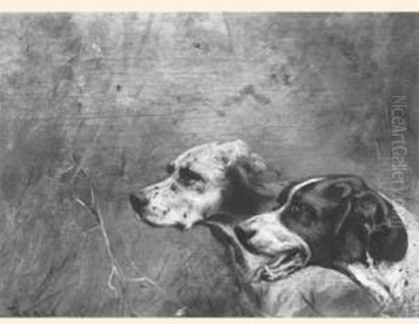 English Setter And English Pointer In The Field - view 1