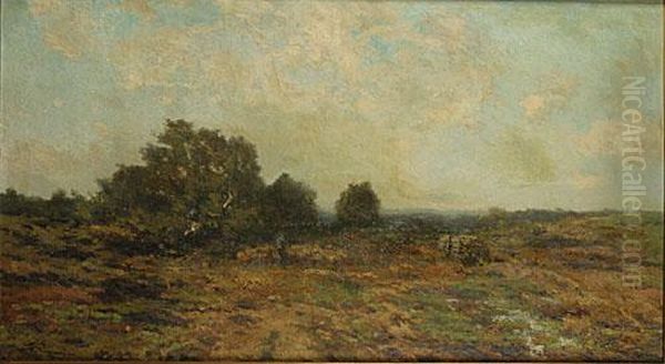 Les Bruyeres De Calmpthout - view 1