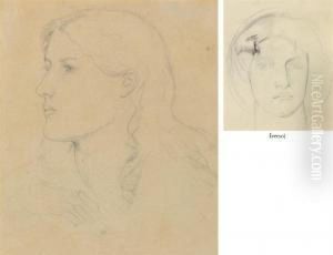 Head Of A Young Woman
