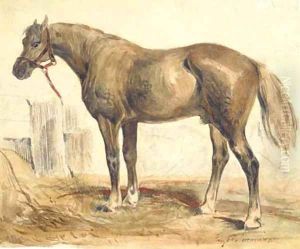 A bay stallion in profile to the right