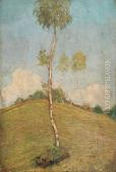Albero - view 1