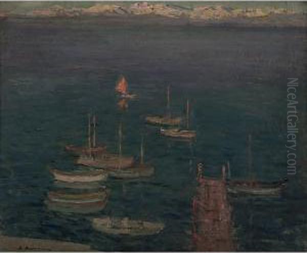 Piccola Regata - view 1