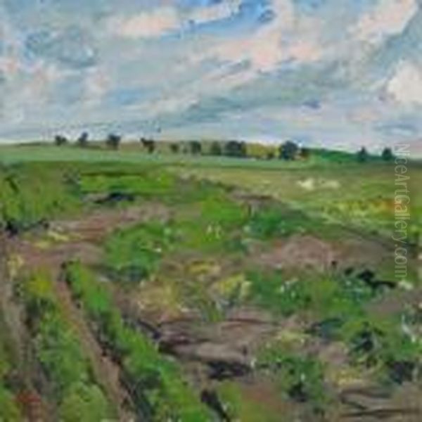Danish Summerlandscape - view 1