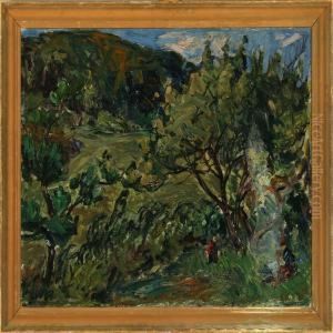 Lindsnakke, Aabenra