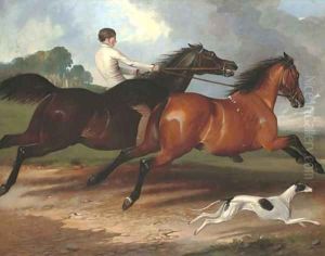 A young man exercising horses and a greyhound in a landscape, a country house beyond