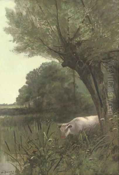 A cow watering at a wooded pool - view 1